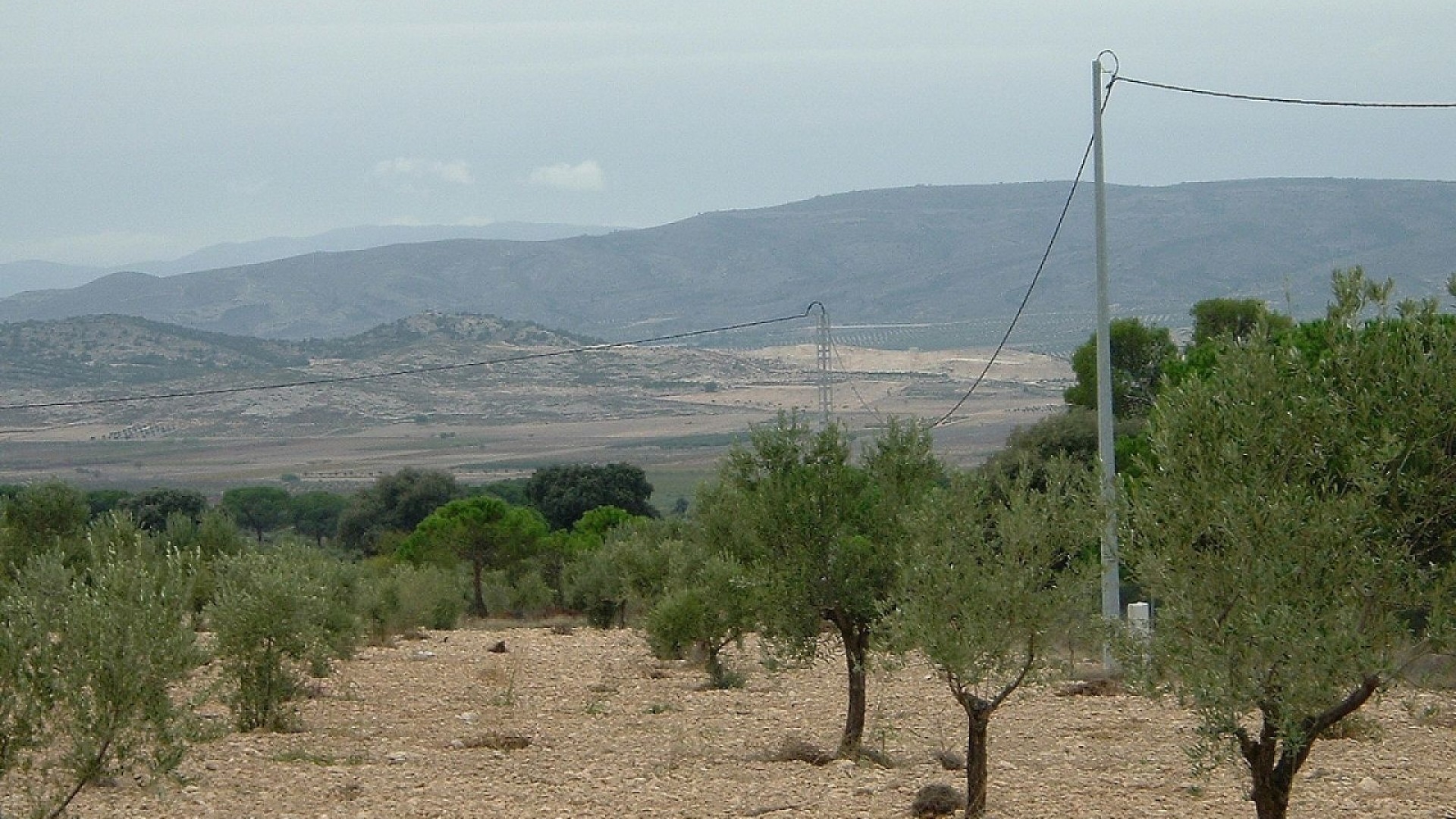Återförsäljning - Vomt Mark -
Biar