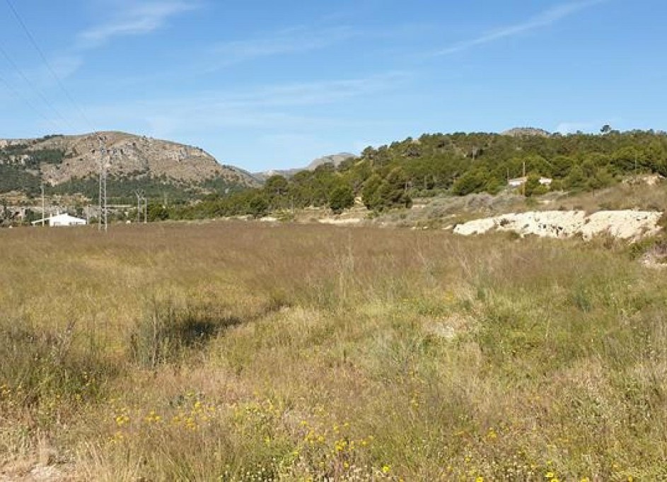 Återförsäljning - Vomt Mark -
La Romana