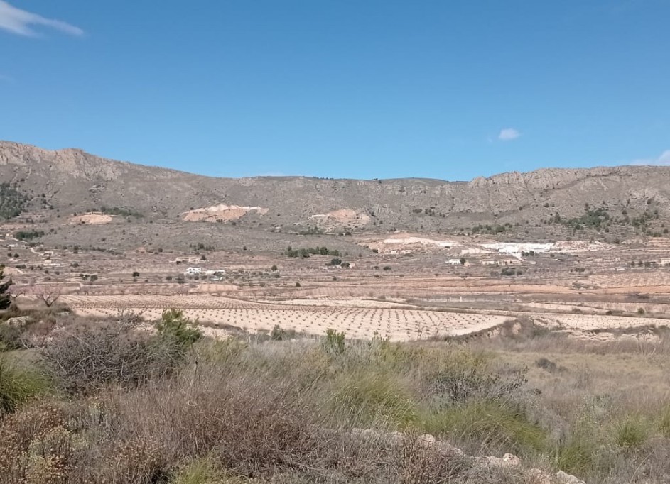 Återförsäljning - Vomt Mark -
La Romana