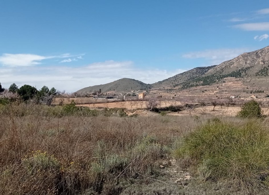 Återförsäljning - Vomt Mark -
La Romana