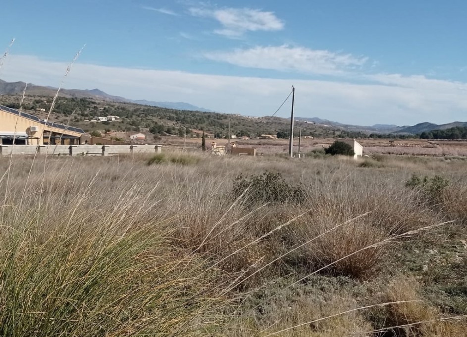 Återförsäljning - Vomt Mark -
La Romana