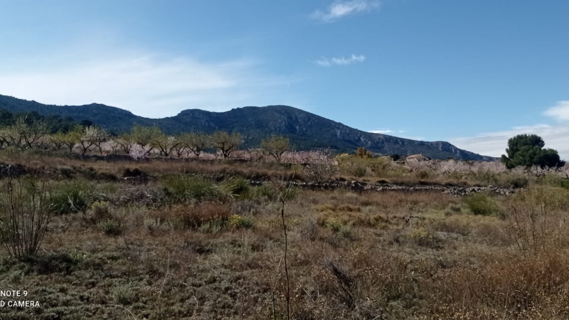 Återförsäljning - Vomt Mark -
La Romana