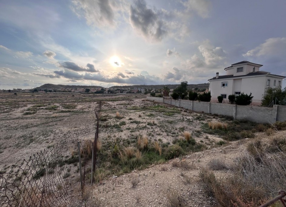 Återförsäljning - Vomt Mark -
Mutxamel - mutxamel