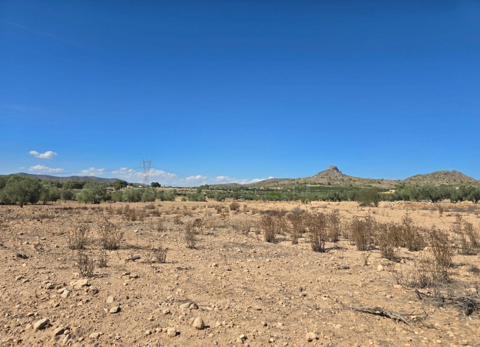 Återförsäljning - Vomt Mark -
Salinas