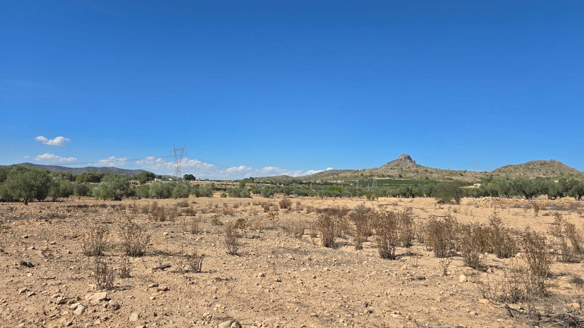 Återförsäljning - Vomt Mark -
Salinas