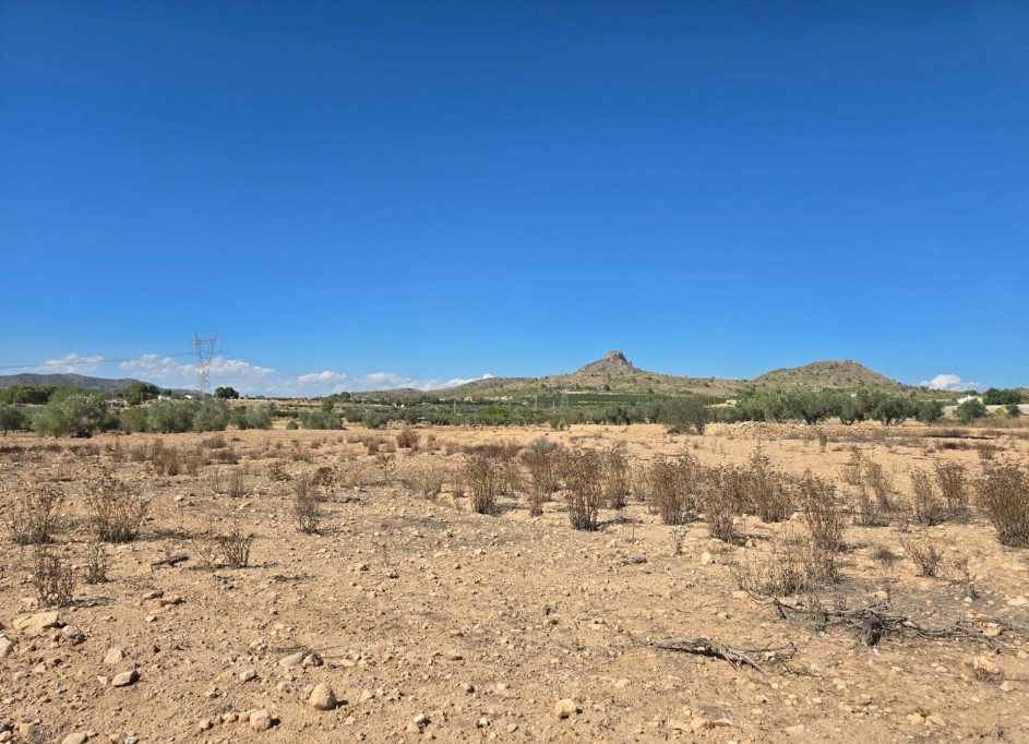 Återförsäljning - Vomt Mark -
Salinas