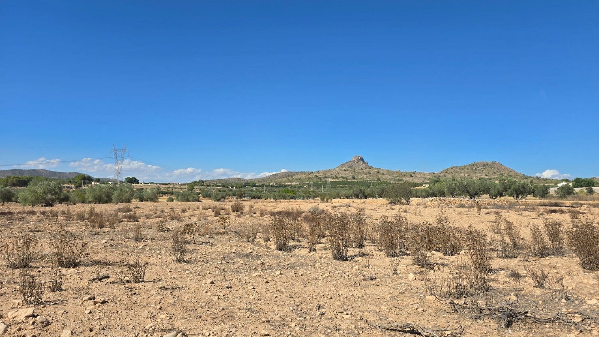 Återförsäljning - Vomt Mark -
Salinas