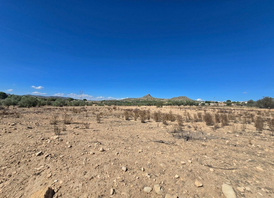 Återförsäljning - Vomt Mark -
Salinas