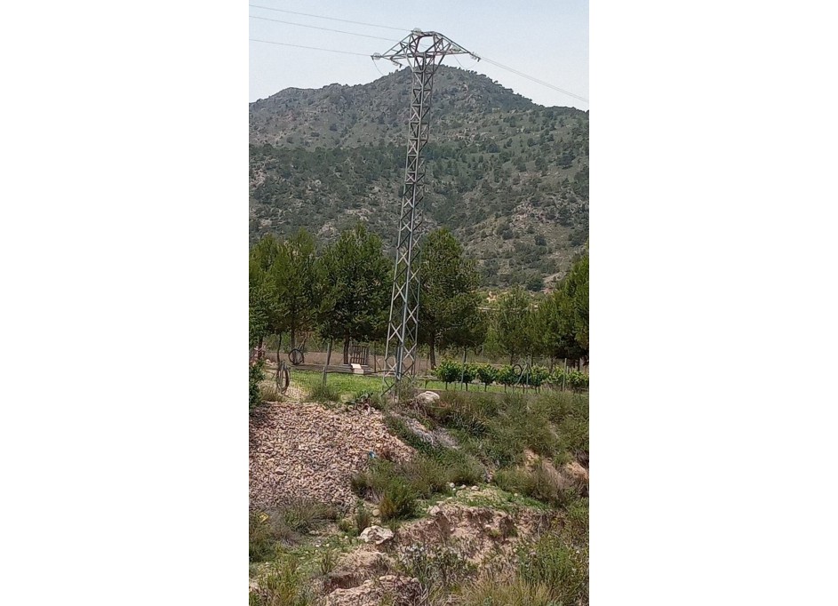 Återförsäljning - Vomt Mark -
Salinas