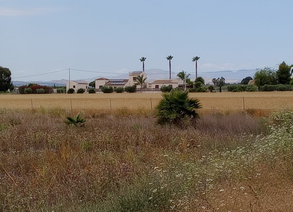 Återförsäljning - Vomt Mark -
San Fulgencio