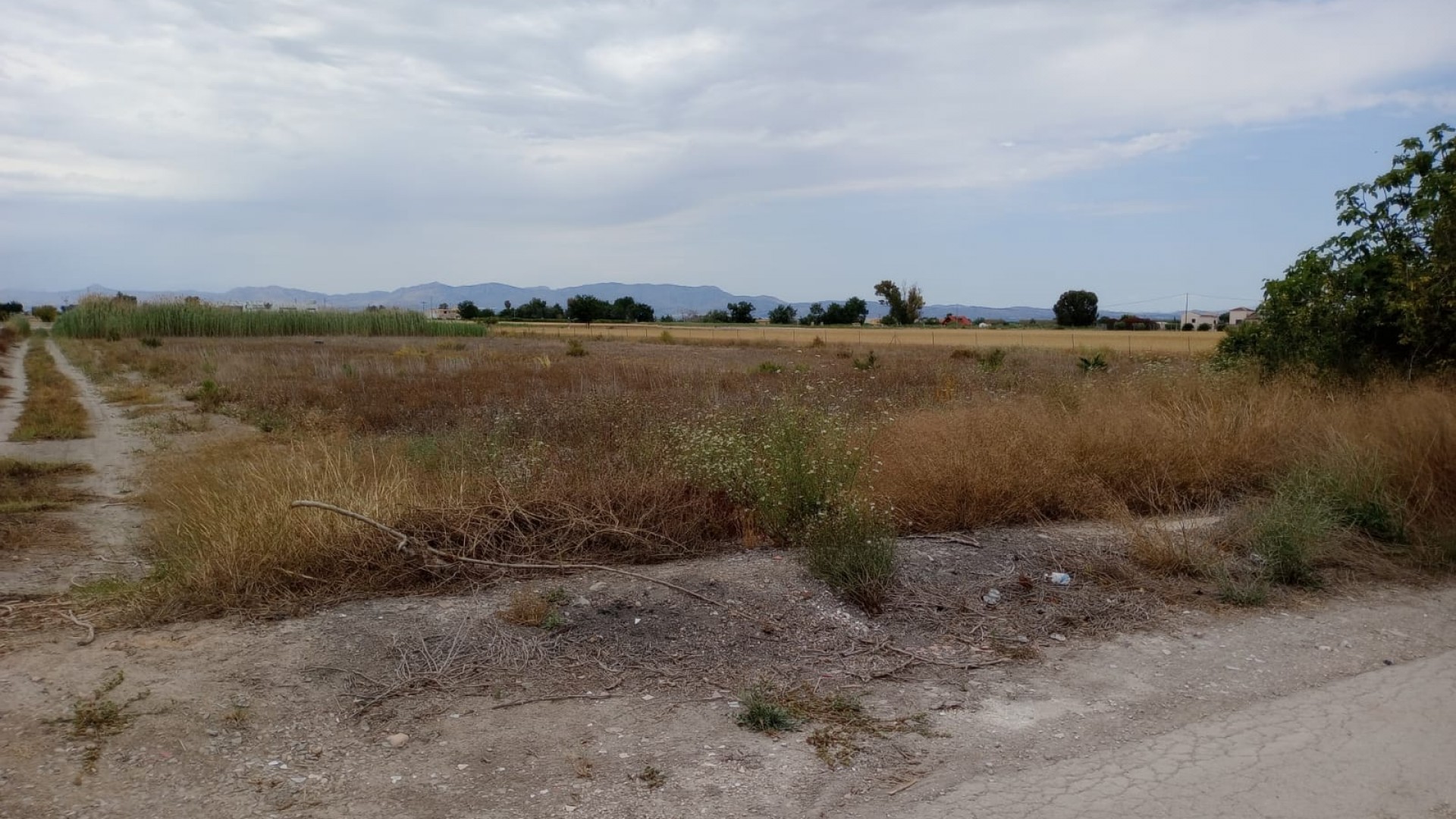 Återförsäljning - Vomt Mark -
San Fulgencio