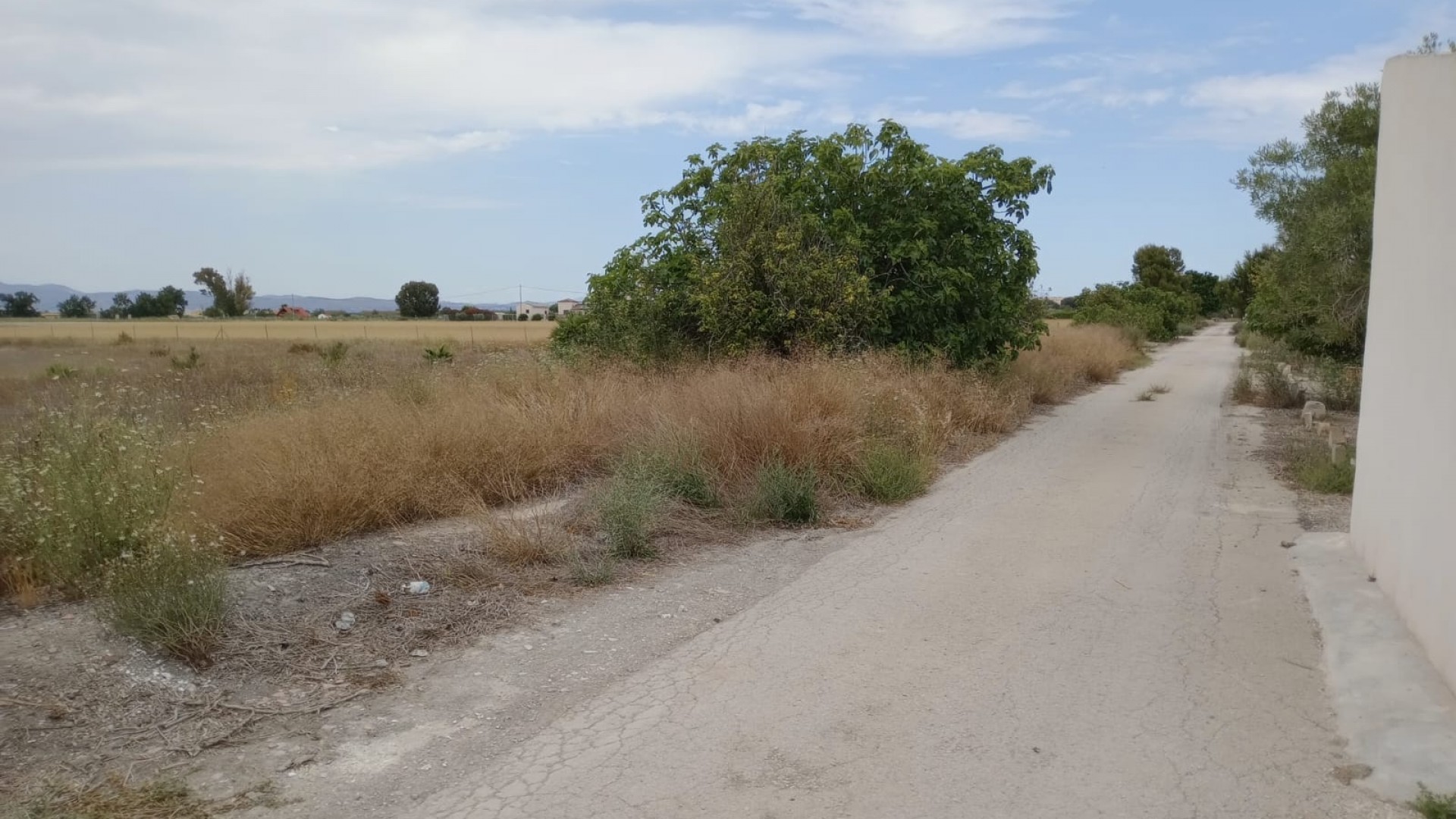 Återförsäljning - Vomt Mark -
San Fulgencio