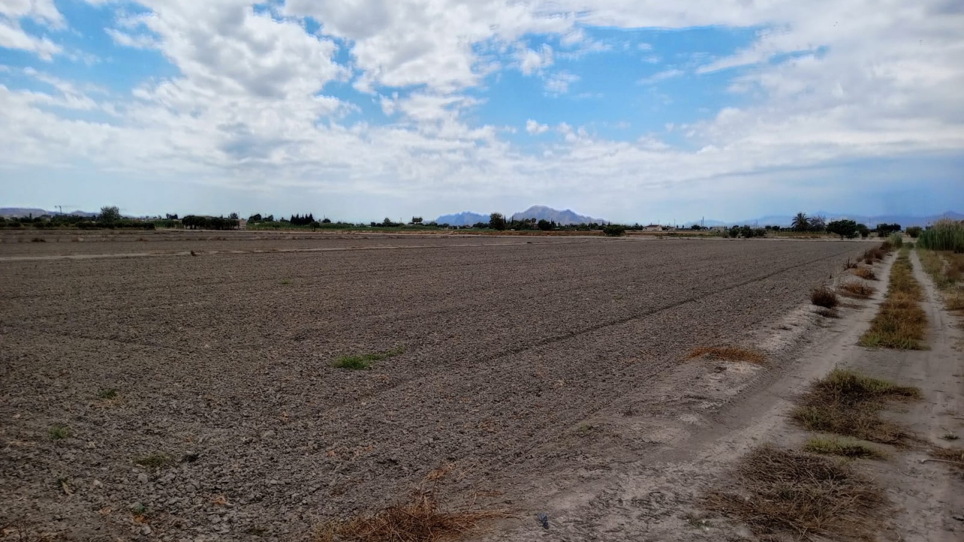 Återförsäljning - Vomt Mark -
San Fulgencio