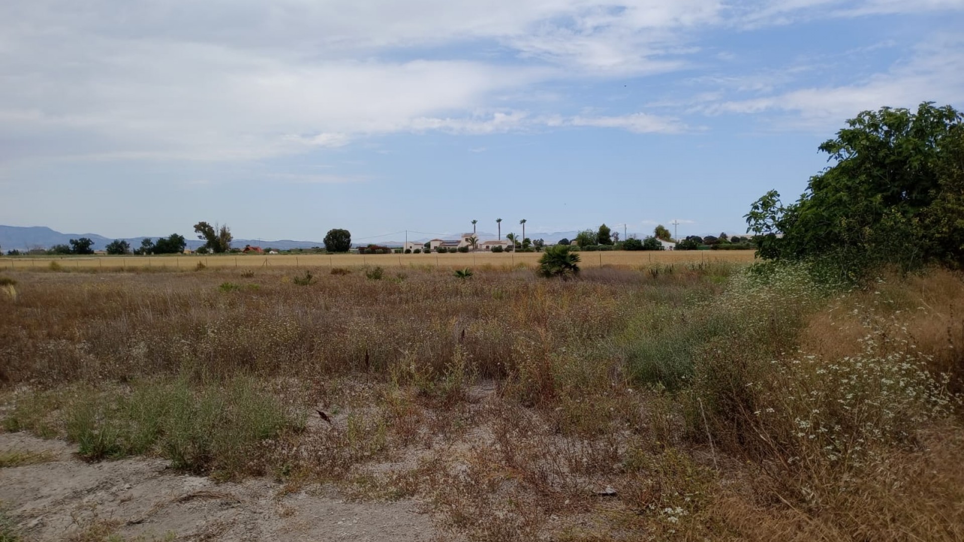 Återförsäljning - Vomt Mark -
San Fulgencio