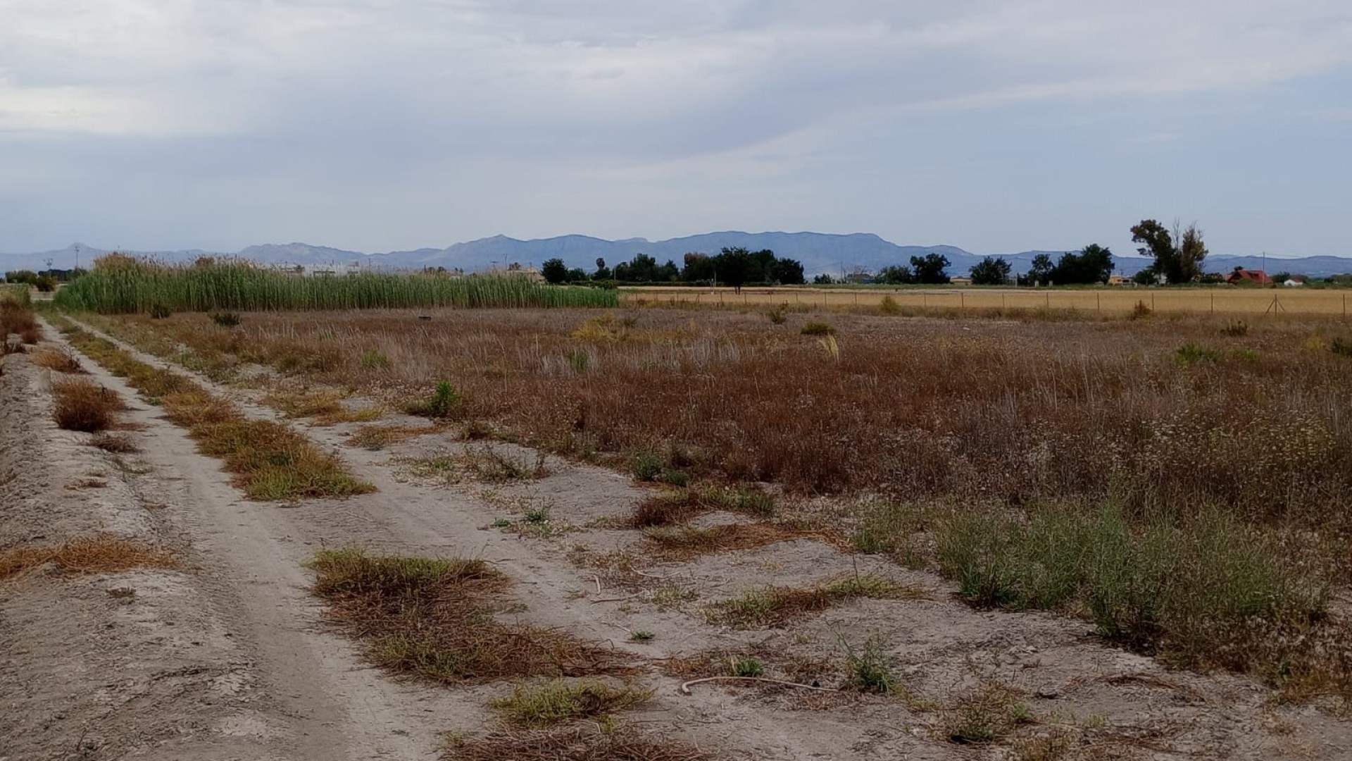 Återförsäljning - Vomt Mark -
San Fulgencio