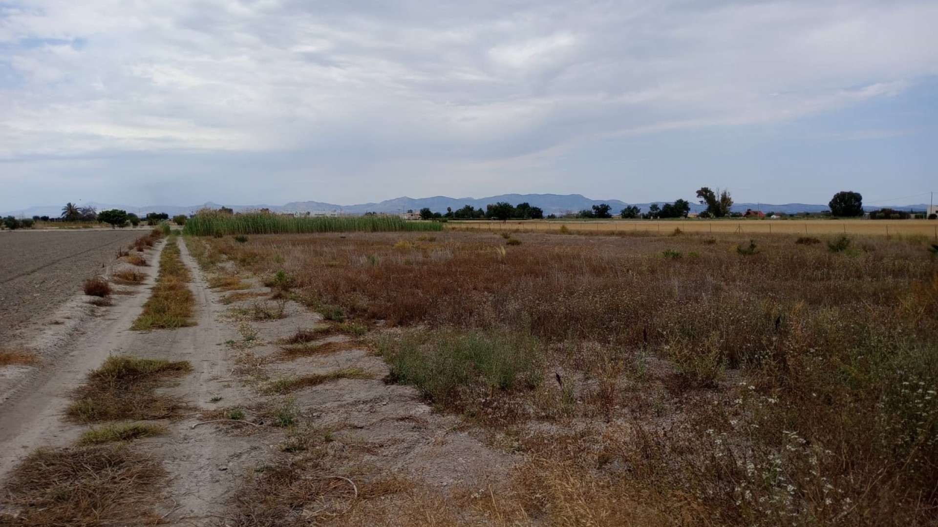 Återförsäljning - Vomt Mark -
San Fulgencio