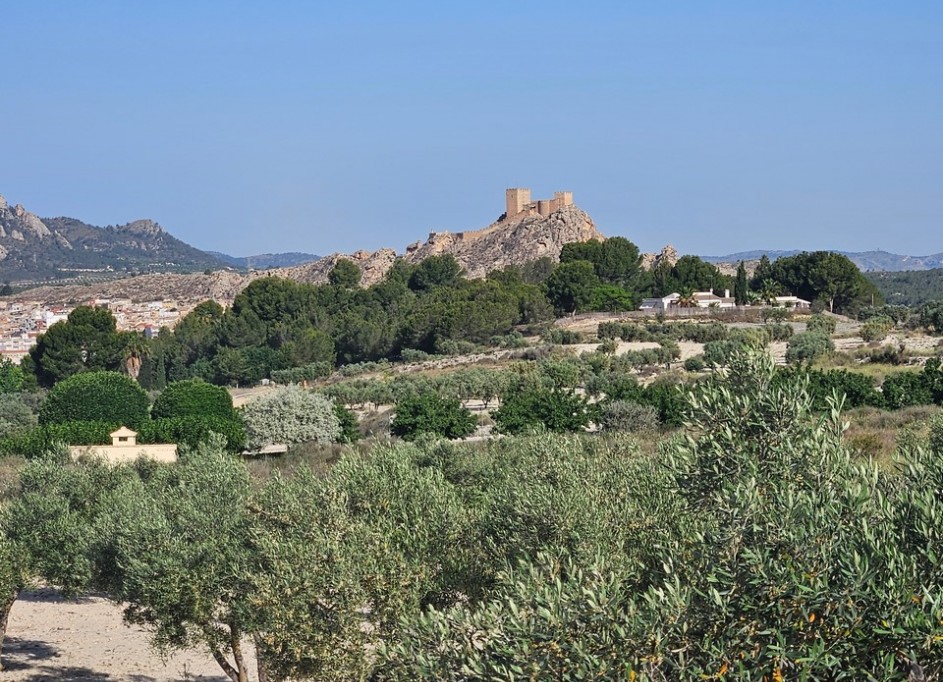 Återförsäljning - Vomt Mark -
SAX