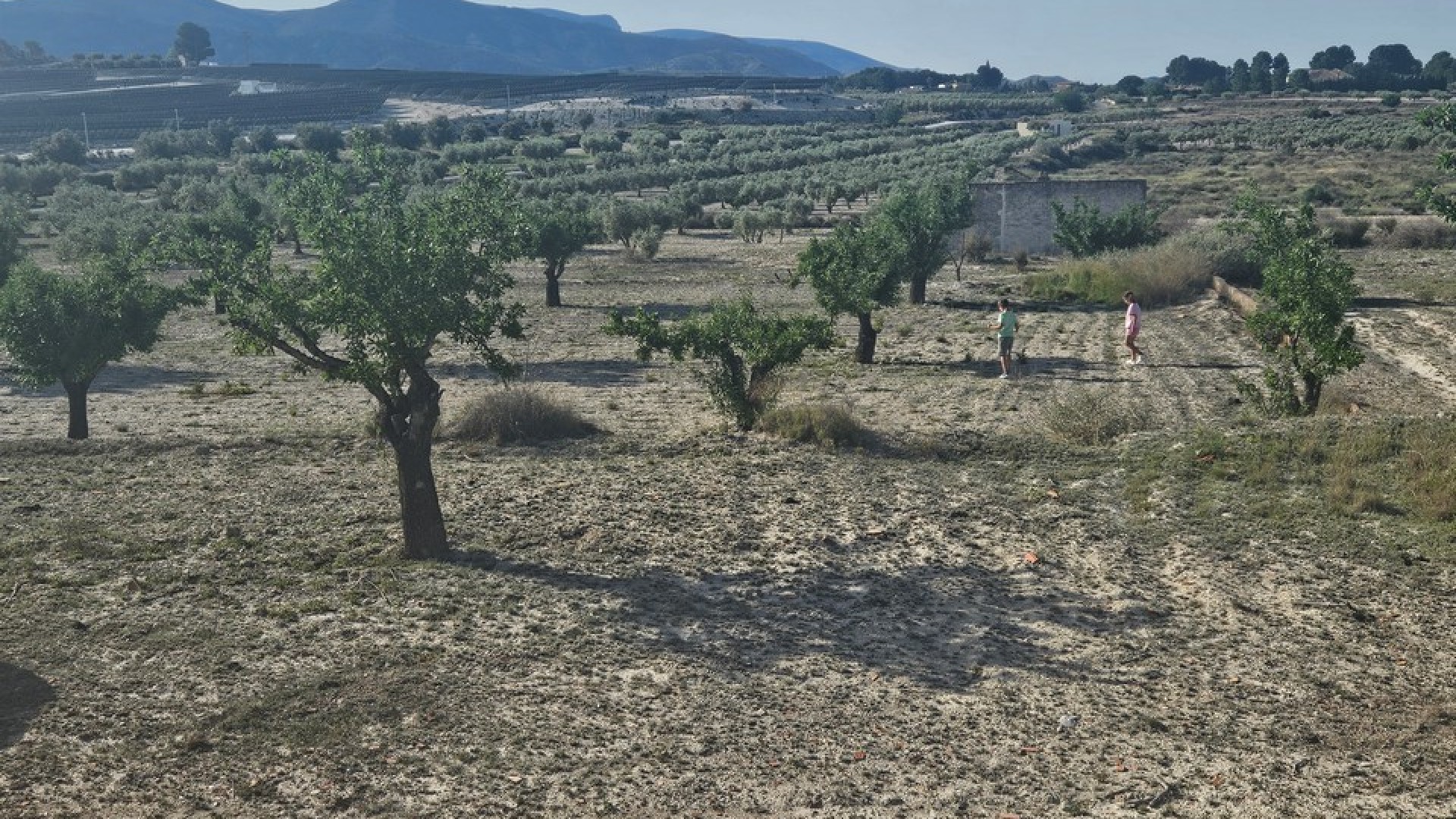 Återförsäljning - Vomt Mark -
SAX