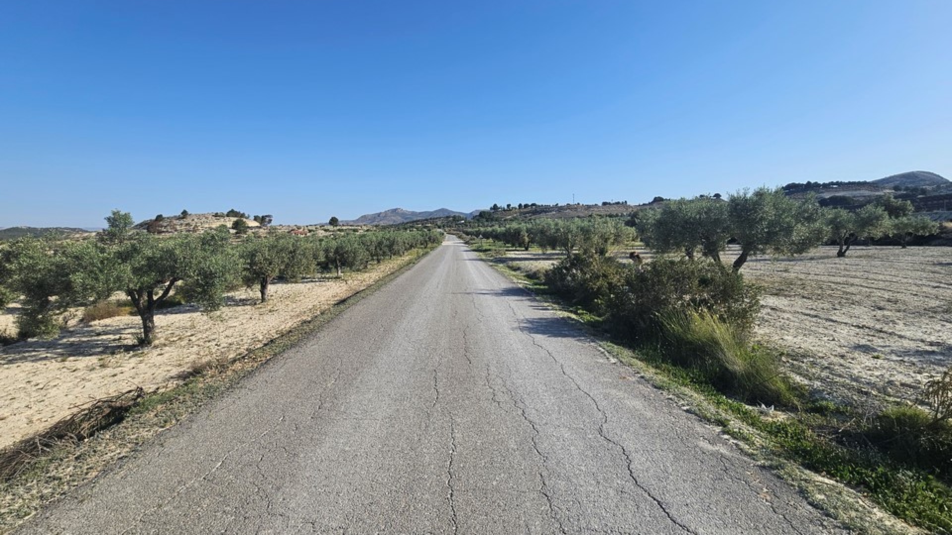 Återförsäljning - Vomt Mark -
SAX