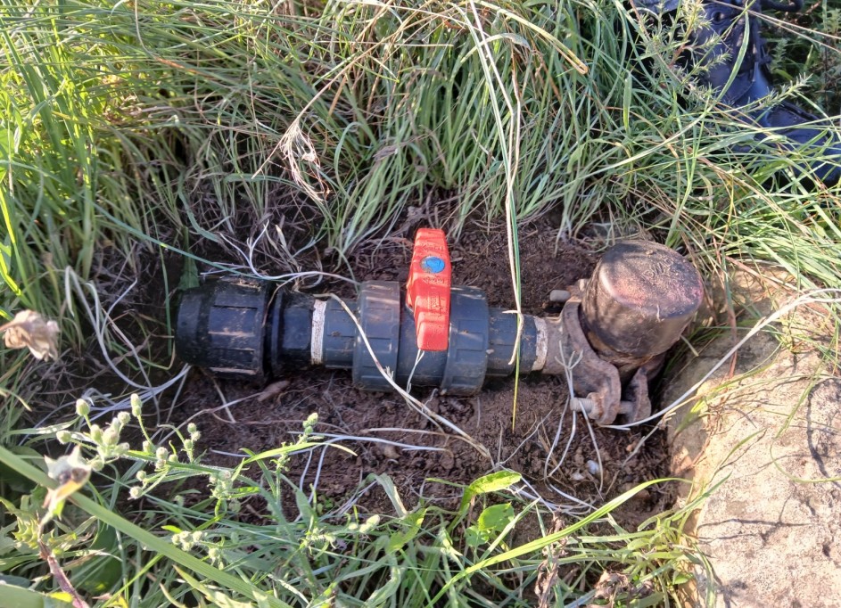 Återförsäljning - Vomt Mark -
Yecla