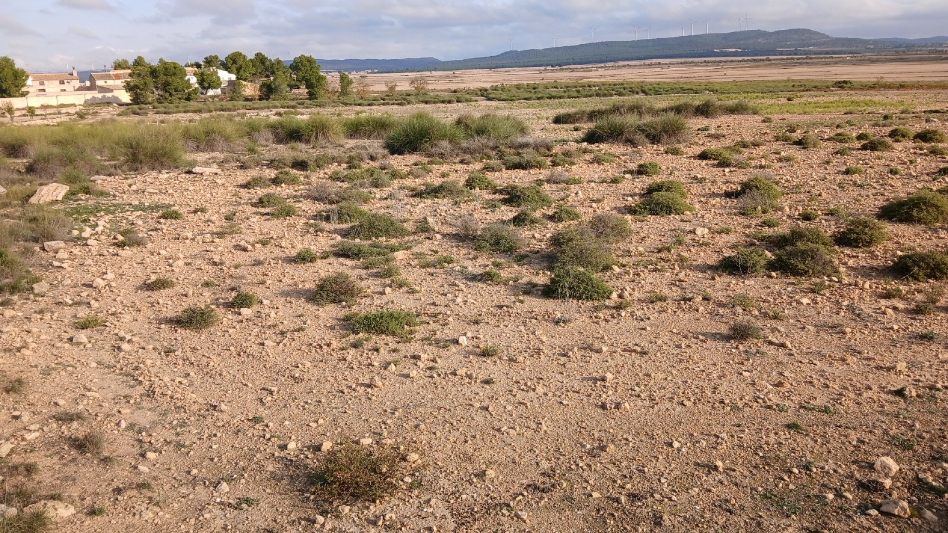 Återförsäljning - Vomt Mark -
Yecla