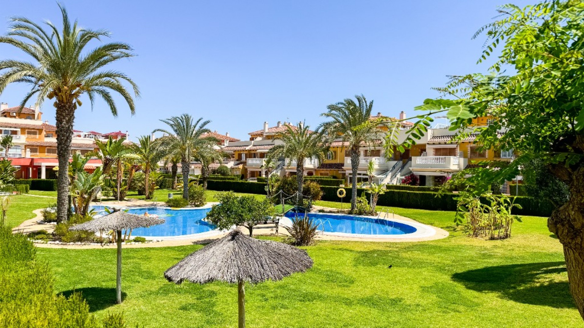 Beliggenhed courte durée - Lejlighed lejlighed -
Playa Flamenca - Zeniamar