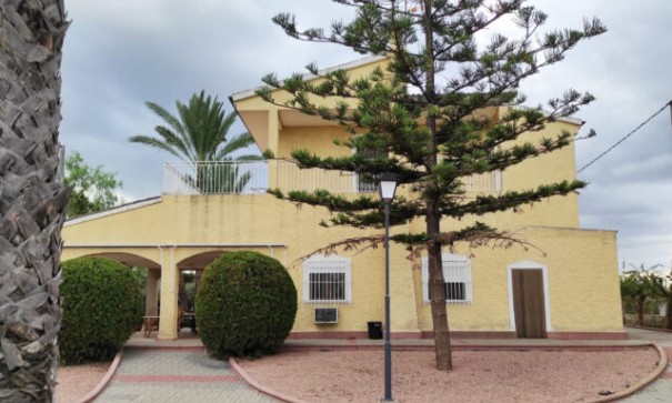 Chalet Independiente - Venta - Crevillente - Crevillente
