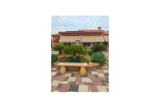 Chalet Independiente - Venta - Elche - Elche