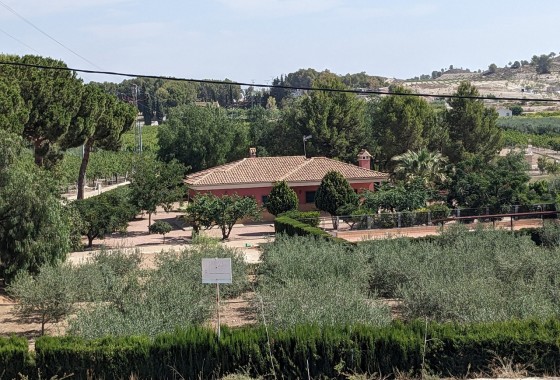 Chalet Independiente - Venta - Murcia - Inland