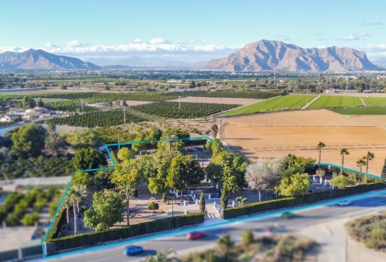 Chalet Independiente - Venta - Orihuela - Orihuela
