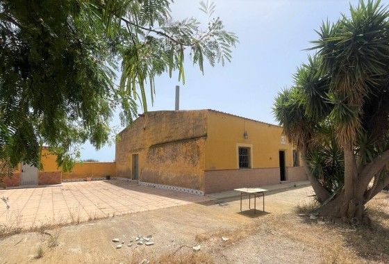 Comercial - Venta - Balsicas - Torre Pacheco