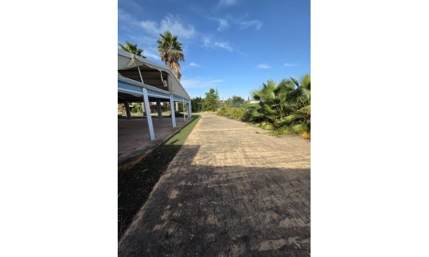 Comercial - Venta - Callosa de Segura - Callosa de Segura