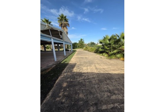 Commercial - Revente -
        Callosa de Segura - C6R-81328