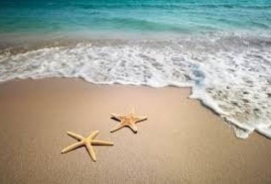 Commercial - Revente - Murcia - Murcia