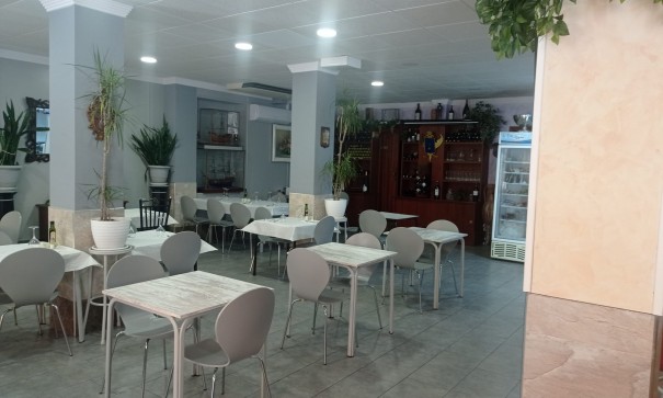 Commercial - Revente - Torrevieja - Torrevieja