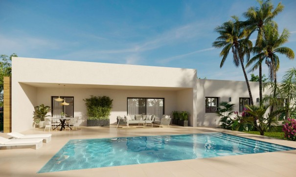 Detached Villa - New Build - Aspe - Poligono 19