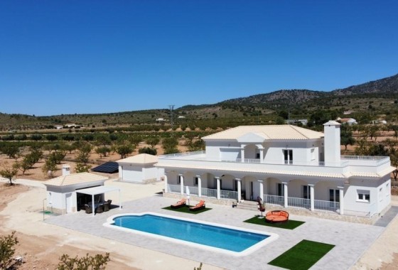 Detached Villa - New Build - Pinoso - Camino Del Prado