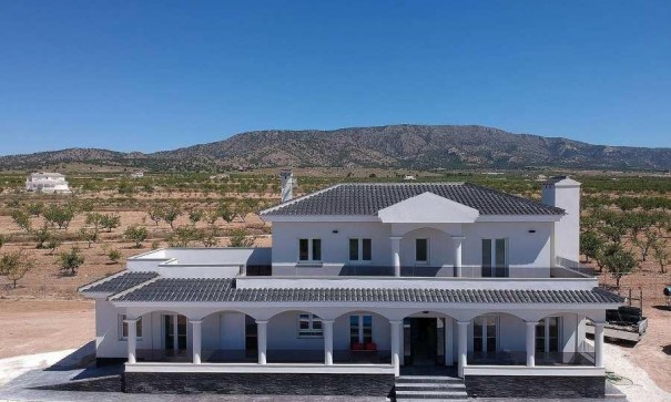Detached Villa - New Build - Pinoso - Camino Del Prado