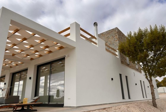 Detached Villa - New Build - Pinoso -
                Casas Pastor