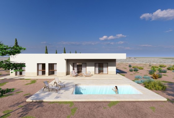 Detached Villa - New Build - Pinoso -
                Pinoso