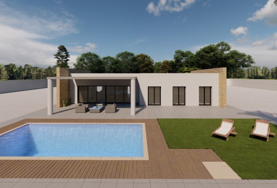 Detached Villa - Nowa konstrukcja - Pinoso - Pinoso