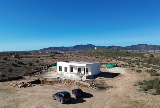 Detached Villa - Nowa konstrukcja - Pinoso - Pinoso
