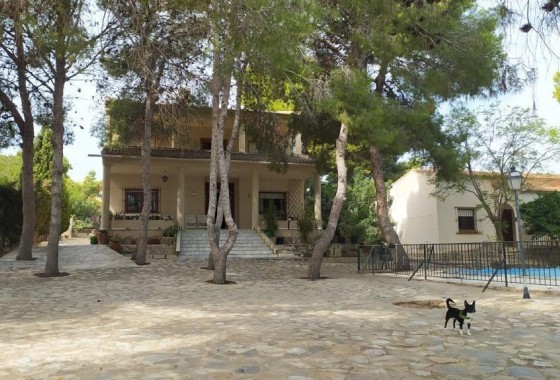 Detached Villa - Resale - Torrevieja - Los Balcones