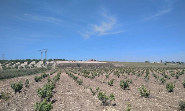 Detached Villa - Sale - Cañada del Trigo - Cañada del Trigo