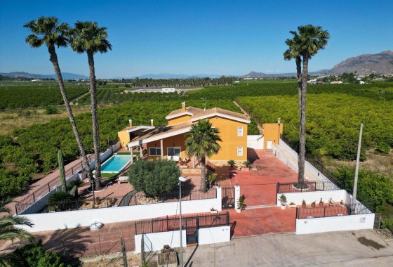 Detached Villa - Sale - Orihuela - Orihuela Ciudad