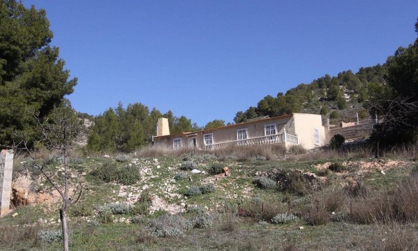 Detached Villa - Sale - Petrer - Petrer