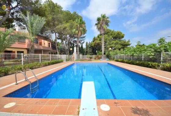 Detached Villa - Sale - Torrevieja - Los Balcones