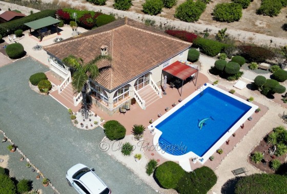 Detached Villa - Sprzedaż - Catral - CatralAlicanteValenciaSpain