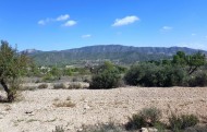 Działka Grunt - Sprzedaż - Monóvar - CAH-35001
