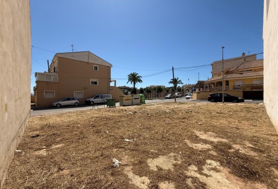 Działka / Grunt - Sprzedaż - San Miguel de Salinas - San Miguel de Salinas